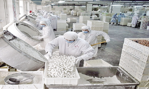 云南臨滄容天下食品廠低露點(diǎn)轉(zhuǎn)輪除濕機(jī) - 副本.jpg